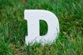 Light bulb glowing letter alphabet character D font. Front view symbol on green grass background.