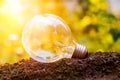Light bulb glowing in soil sun flares blurred background Royalty Free Stock Photo