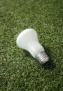 Light bulb grass background