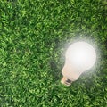 Light bulb in a green garden ecofriendly energy source concept Royalty Free Stock Photo