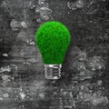 Light bulb with green grass for ECO concept Royalty Free Stock Photo