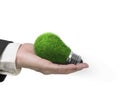 Light bulb with green grass for ECO green energy concept Royalty Free Stock Photo