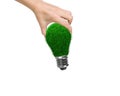 Light bulb with green grass for ECO green energy concept Royalty Free Stock Photo