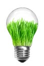 Light bulb with green grass inside Royalty Free Stock Photo