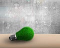 Light bulb with green grass for ECO concept Royalty Free Stock Photo