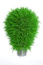 Light bulb from green leaf grass, save energy concept, 3D rendering Royalty Free Stock Photo