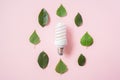 Light bulb with green leaves on pink background Royalty Free Stock Photo