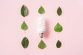 Light bulb with green leaves on pink background Royalty Free Stock Photo