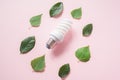 Light bulb with green leaves on pink background Royalty Free Stock Photo