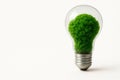 A light bulb with green moss inside. Space for text. Royalty Free Stock Photo