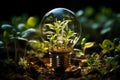 Light bulb with green plants inside and growing from the ground, energy saving and environmental resource conservation concepts, Royalty Free Stock Photo