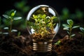 Light bulb with green plants inside and growing from the ground, energy saving and environmental resource conservation concepts, Royalty Free Stock Photo