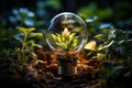 Light bulb with green plants inside and growing from the ground, energy saving and environmental resource conservation concepts, Royalty Free Stock Photo