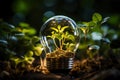 Light bulb with green plants inside and growing from the ground, energy saving and environmental resource conservation concepts, Royalty Free Stock Photo
