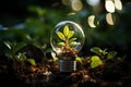 Light bulb with green plants inside and growing from the ground, energy saving and environmental resource conservation concepts, Royalty Free Stock Photo