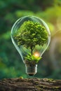Light bulb with a green tree inside above the ground. Green alternative energy ecology concept. AI Generated Royalty Free Stock Photo