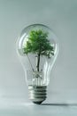 Light bulb with a green tree inside on grey background. Green alternative energy ecology concept. AI Generated Royalty Free Stock Photo