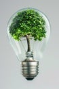 Light bulb with a green tree inside on grey background. Green alternative energy ecology concept. AI Generated Royalty Free Stock Photo