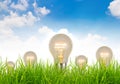 Light bulb grow in the grass against blue sky Royalty Free Stock Photo