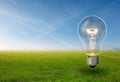 Light bulb grow in the grass against blue sky. Forest conservation and Eco concept Royalty Free Stock Photo