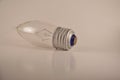 Light bulb Royalty Free Stock Photo