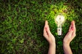 Light bulb in hands on green grass background. Eco friendly energy Royalty Free Stock Photo