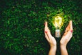 Light bulb in hands on green grass background. Eco friendly energy Royalty Free Stock Photo