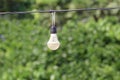 Light bulb hanging on the cord electric wire line cable with green nature tree bokeh lighting background