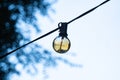 Light bulb hanging on a rope in the street with the reflection of yellow and golden dawn light with the branches of a tree in the Royalty Free Stock Photo