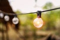 light bulb hanging on wire with sunshine background. energy concept Royalty Free Stock Photo