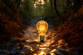 Light bulb illuminating a path to creativity