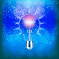 Light bulb isolated. Illustration. Royalty Free Stock Photo