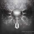 Light Bulb isolated. Illustration. Royalty Free Stock Photo