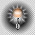 Light Bulb isolated. Illustration. Royalty Free Stock Photo