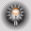 Light Bulb isolated. Illustration. Royalty Free Stock Photo