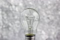 Light bulb, isolated, Realistic photo image Royalty Free Stock Photo