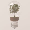 Light bulb, isolated, tree inside Royalty Free Stock Photo