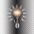 Light Bulb isolated. Vector illustration. Royalty Free Stock Photo