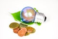 Light bulb with light from the lamp with green leaf and coin on white background - energy saving idea , power saving and the world