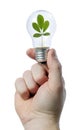 Light bulb leaf Royalty Free Stock Photo