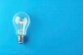 light bulb lit on blue background. winning idea concept. Royalty Free Stock Photo