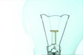 Light bulb macro with the filament wire and construction artistic conversion Royalty Free Stock Photo