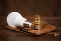 Light bulb with money coins, saving energy, save power Royalty Free Stock Photo