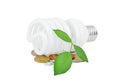 Light bulb, money and plant Royalty Free Stock Photo