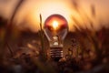 Light bulb on nature background. Energy and idea concept. Vintage tone. Ecological energy concept with a small plant inside of Royalty Free Stock Photo