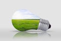 Light bulb with nature inside Royalty Free Stock Photo