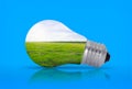 Light bulb with nature inside Royalty Free Stock Photo