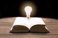Light bulb on Open book close-up on dark Royalty Free Stock Photo