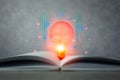 Light bulb over the book. Knowledge, education concept Royalty Free Stock Photo