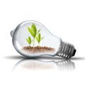 Light Bulb with plant Royalty Free Stock Photo